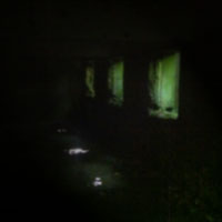 Imago cover artwork