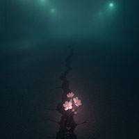 CelsiusZwoel - Bloesem en Asfalt cover artwork